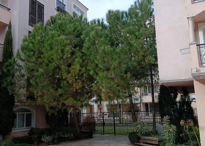 Cacao Romance * Napospart